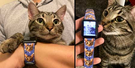 カスタムペットアートポートレートアップルウォッチバンド、
